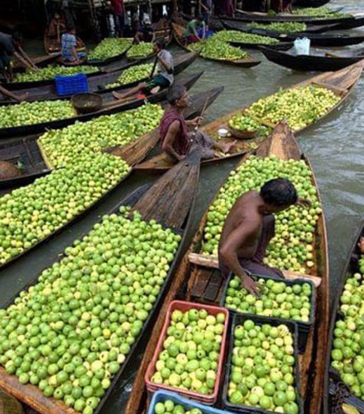 Varanasi to Dibrugarh Epic Cruise
