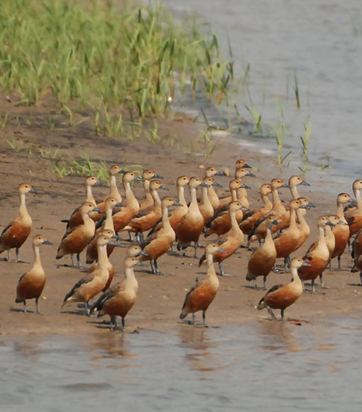 Amazon of the east itinerary